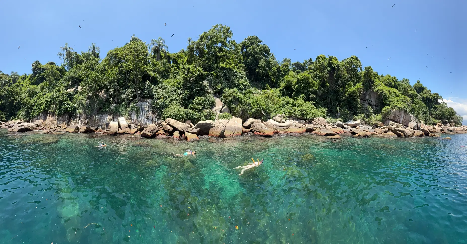 Île Jorge Grego no passeio Grand Sud