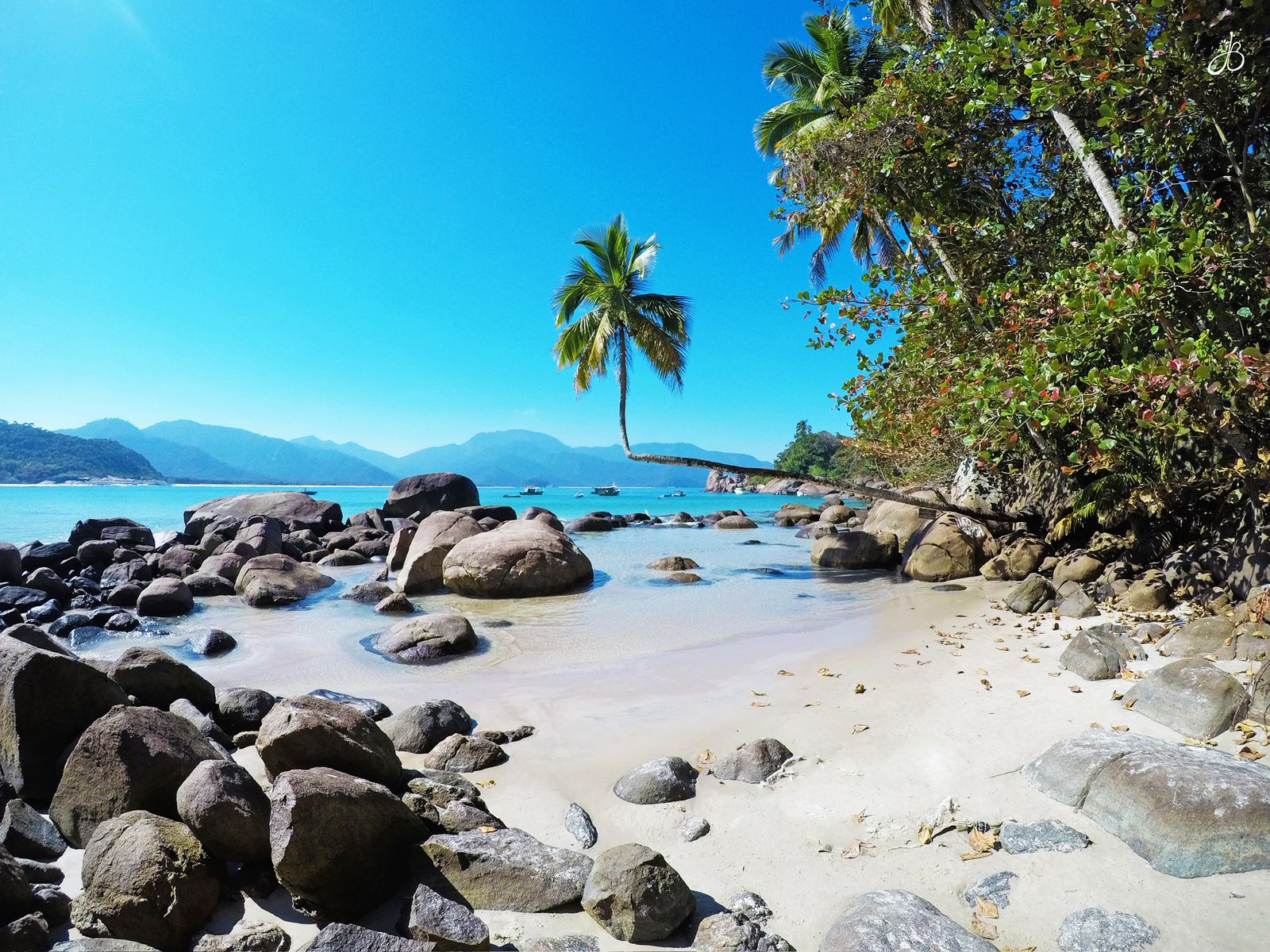 Volta à Ilha