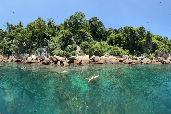 ilha-de-jorge-grego-1