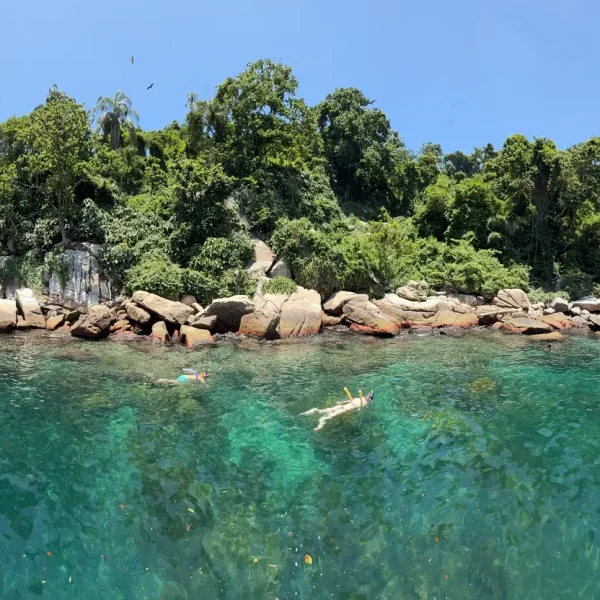 ilha-de-jorge-grego-1